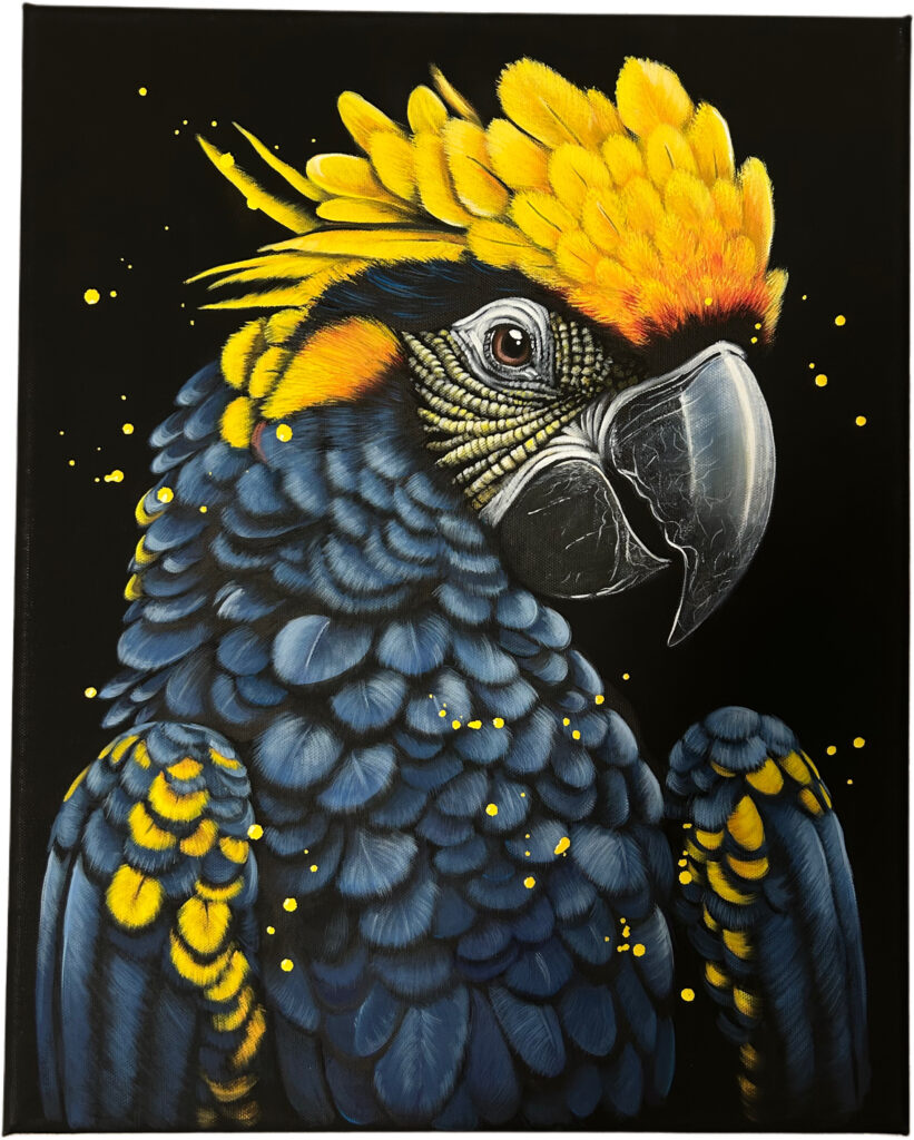 90AB32E5 047C 46FA 9F06 620000D4E1ED